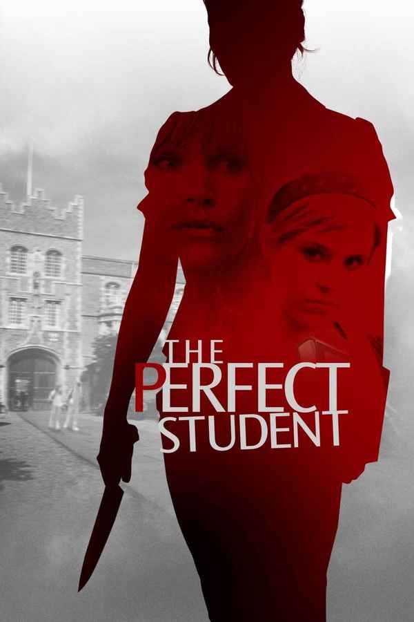 The Perfect Student Poster 3