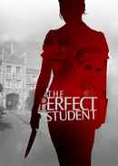 The Perfect Student Poster 2