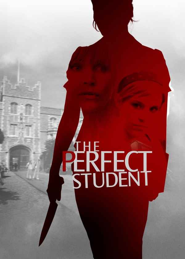 The Perfect Student Poster 2