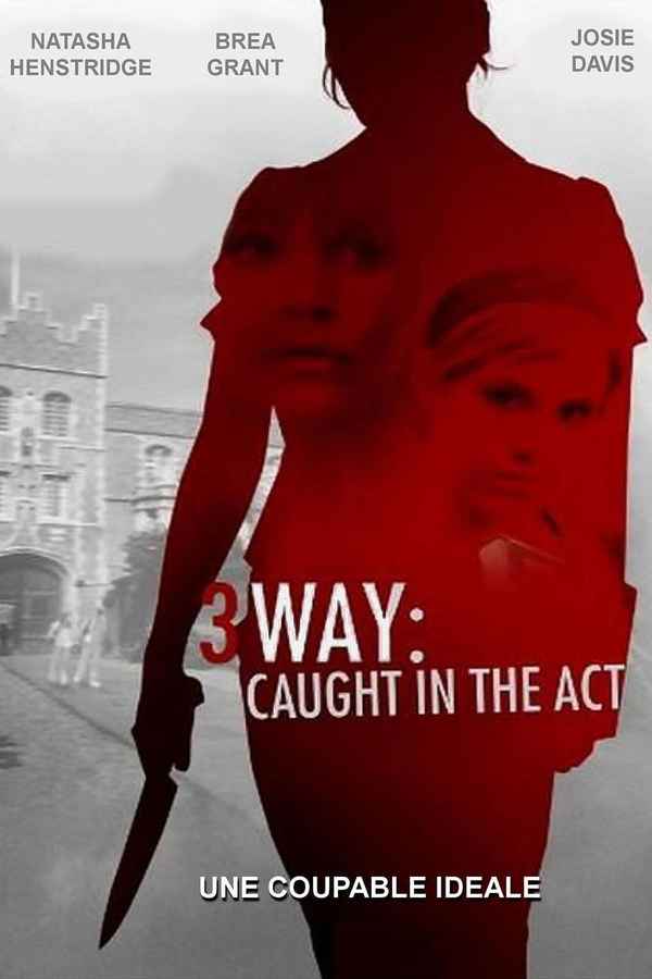 The Perfect Student Poster 4