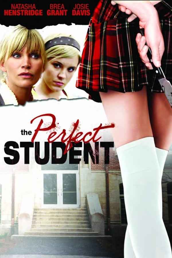 The Perfect Student Poster 5
