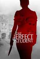 The Perfect Student Poster 6