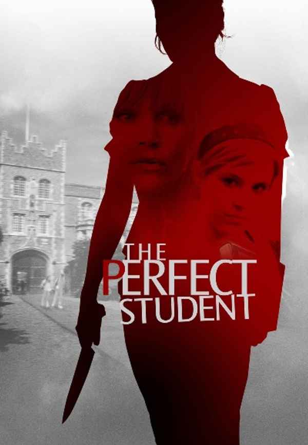 The Perfect Student Poster 6