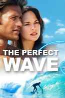 The Perfect Wave Poster 6