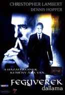 The Piano Player Poster 6