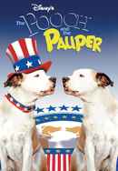 The Pooch and the Pauper Poster 6