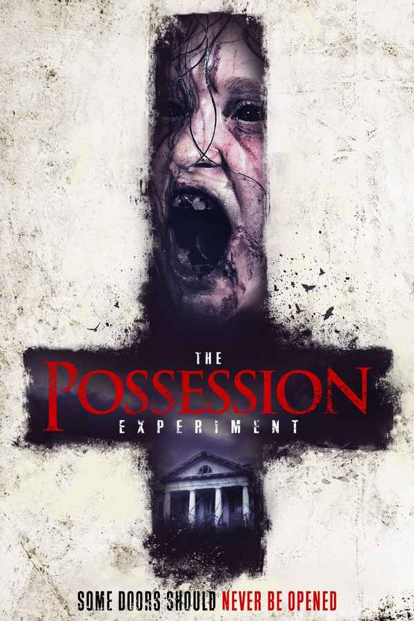 The Possession Experiment Poster 4