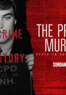 The Preppy Murder: Death in Central Park Season 1 Poster 4