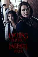 The Price of Perfection Poster 2