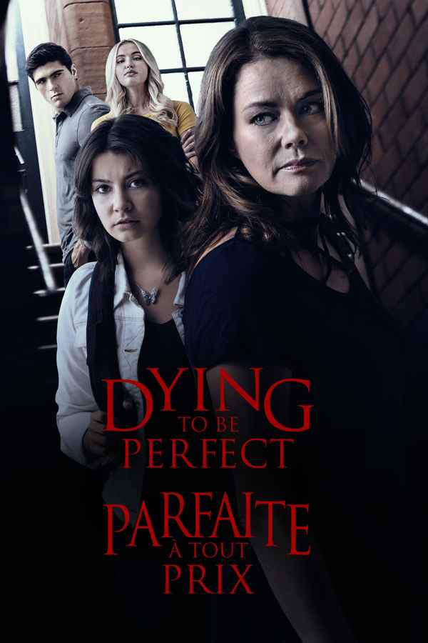 The Price of Perfection Poster 2