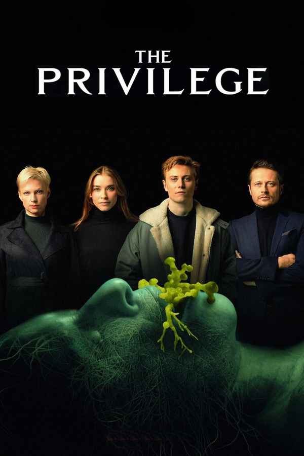 The Privilege Poster 3
