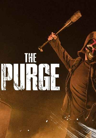 The Purge