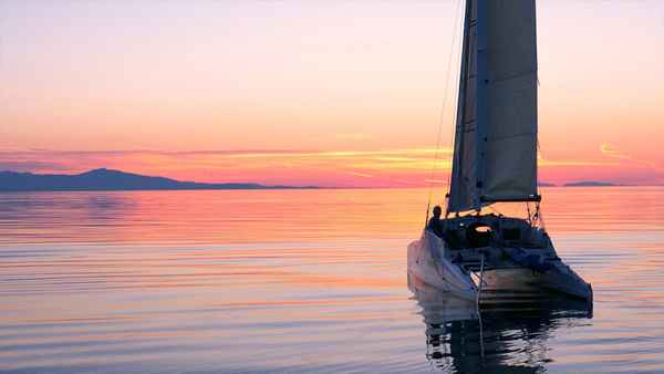 The Race to Alaska Poster 3