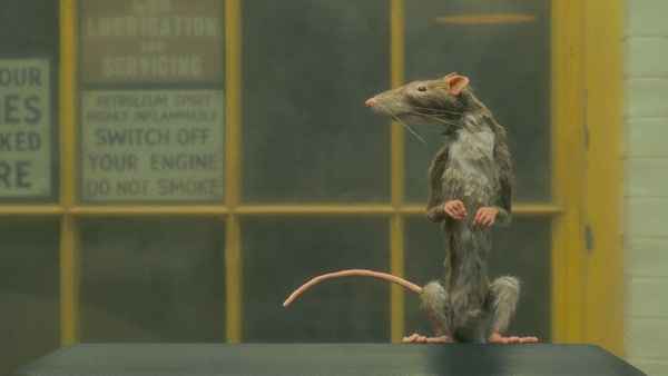 The Ratcatcher Poster 6