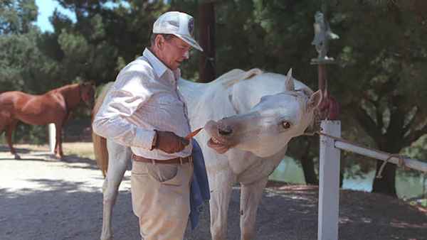 The Reagan Show Poster 3