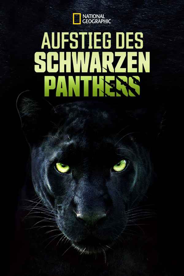 The Real Black Panther Poster 1