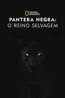 The Real Black Panther Poster 7