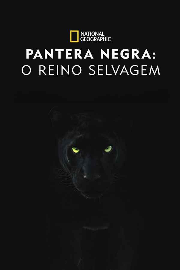 The Real Black Panther Poster 7