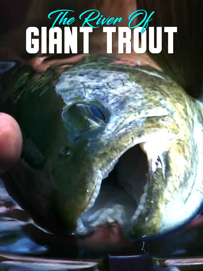 The River Of Giant Trout