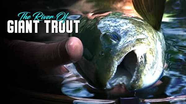 The River Of Giant Trout Poster 2