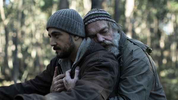 The Rooster Poster 1