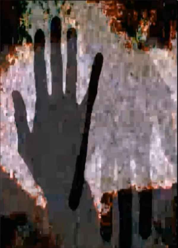 The Rotten Wood, Concrete Agony And Shedding Skin Poster 1