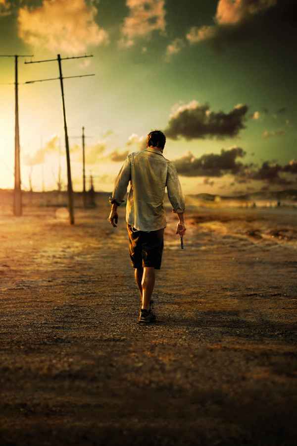 The Rover Poster 2