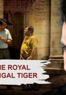 The Royal Bengal Tiger Poster 4