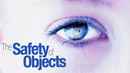 The Safety of Objects Poster 1