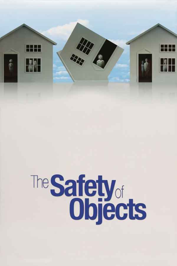 The Safety of Objects Poster 6