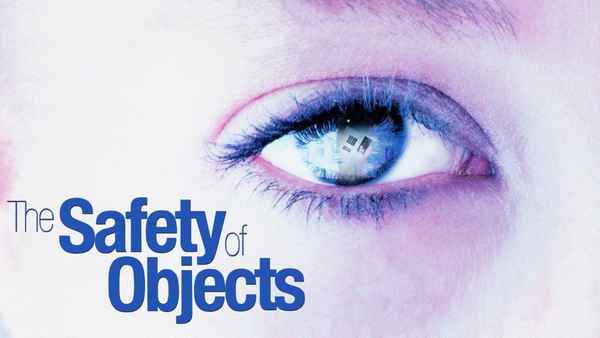 The Safety of Objects Poster 2