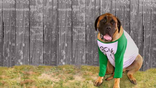 The Sandlot 2 Poster 2