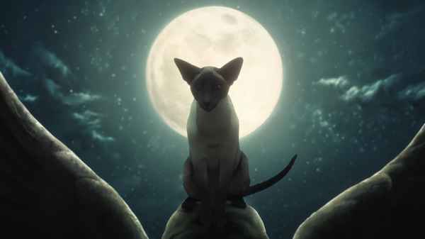 The Sandman Poster 3