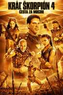 The Scorpion King 4: Quest for Power Poster 6
