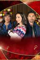 The Search for Secret Santa Poster 6