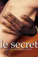 The Secret Poster 7