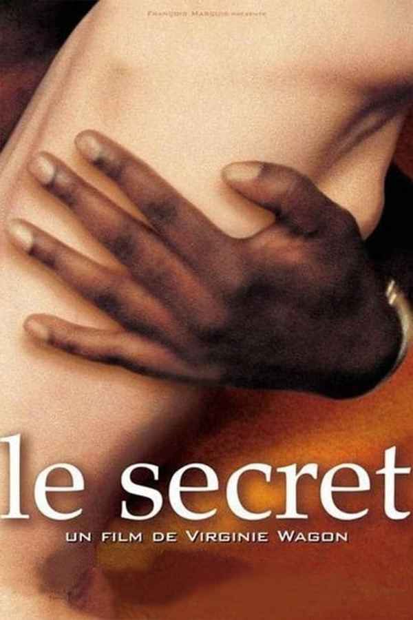 The Secret Poster 7
