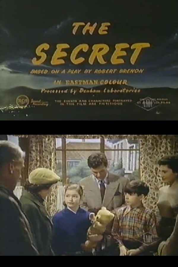 The Secret Poster 5