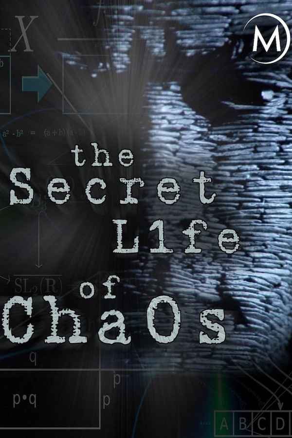 The Secret Life of Chaos Poster 3
