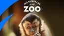 The Secret Life of the Zoo Poster 3