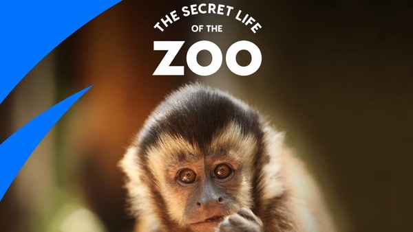 The Secret Life of the Zoo Poster 3