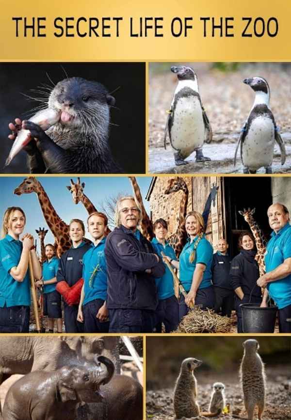 The Secret Life of the Zoo Poster 6
