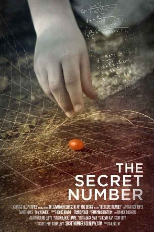 The Secret Number Poster 2