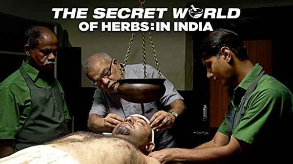 The Secret World of Herbs: In India Poster 1