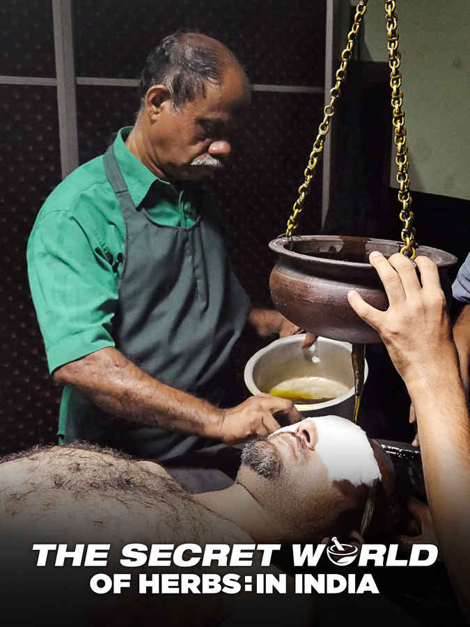 The Secret World of Herbs: In India