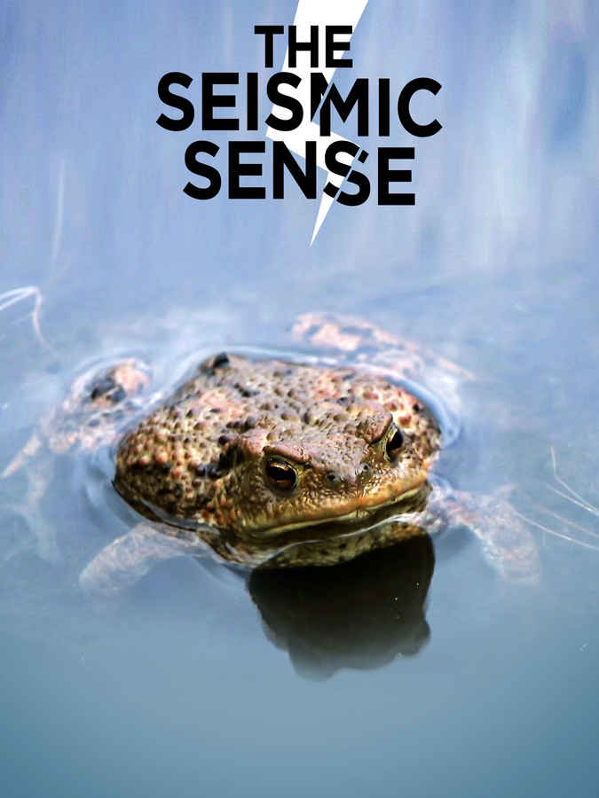 The Seismic Sense