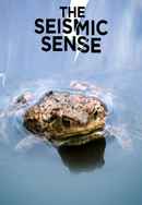 The Seismic Sense Poster 3