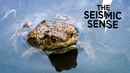 The Seismic Sense Poster 2
