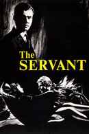 The Servant Poster 3