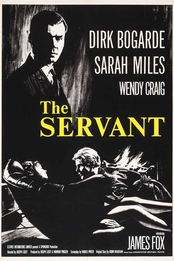The Servant Poster 5